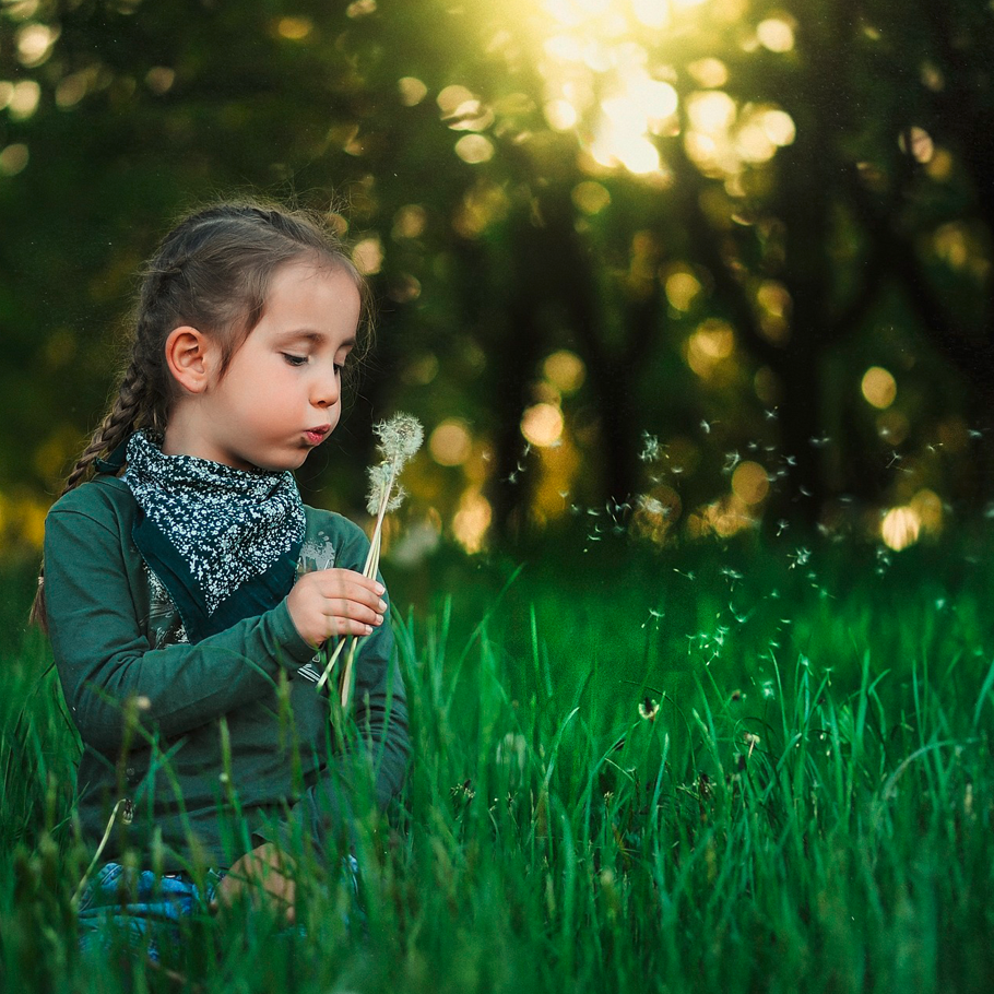 Mädchen Pusteblume qu
